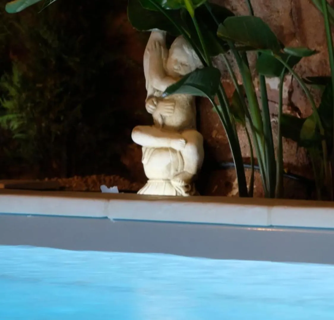 Casa Das Amendoeiras Silves Villa